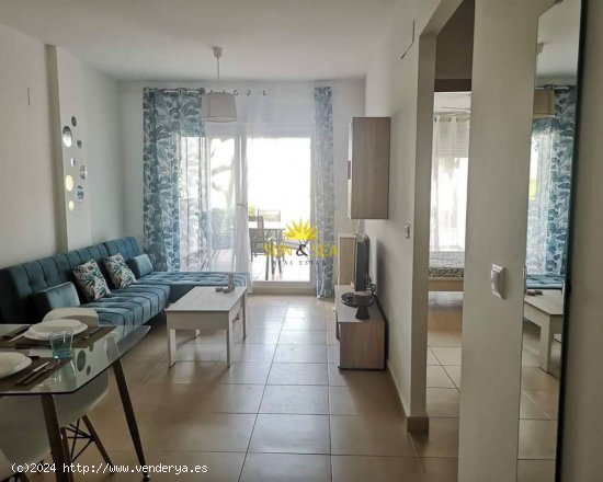 Apartamento en alquiler en Torre-Pacheco (Murcia)