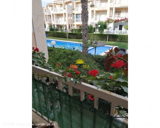 Apartamento en alquiler en Torrevieja (Alicante)