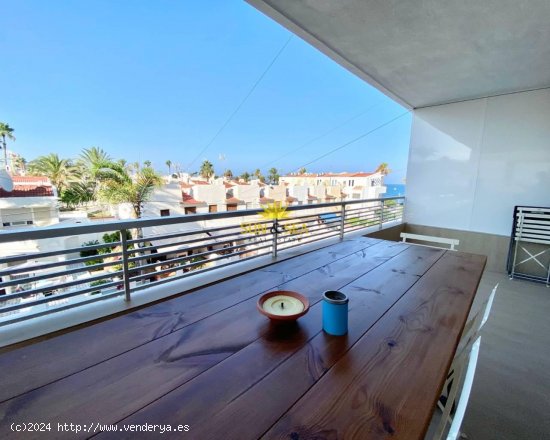 Apartamento en alquiler en Torrevieja (Alicante)