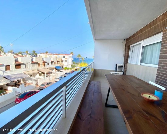 Apartamento en alquiler en Torrevieja (Alicante)