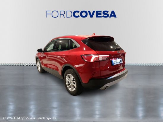 Ford Kuga Titanium 2.5 Duratec PHEV 165kW Auto - Terrassa