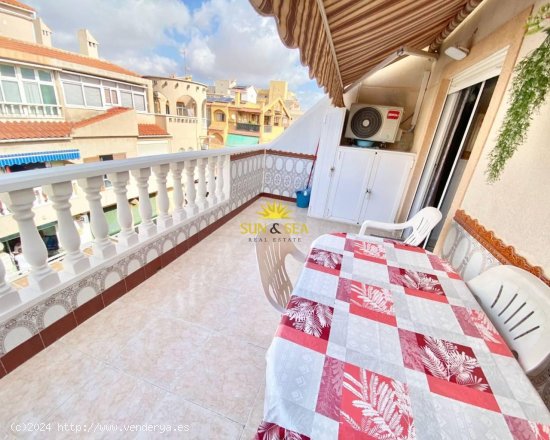 Apartamento en alquiler en Torrevieja (Alicante)