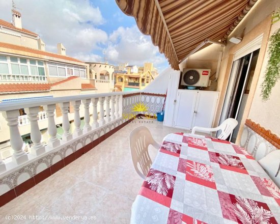 Apartamento en alquiler en Torrevieja (Alicante)