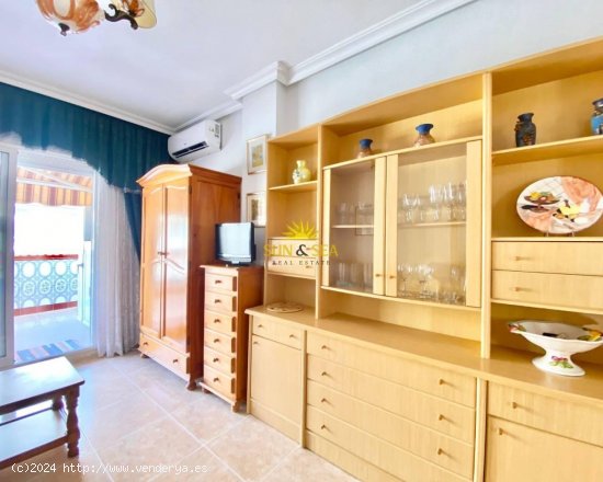 Apartamento en alquiler en Torrevieja (Alicante)