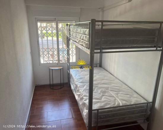 Apartamento en alquiler en Orihuela (Alicante)