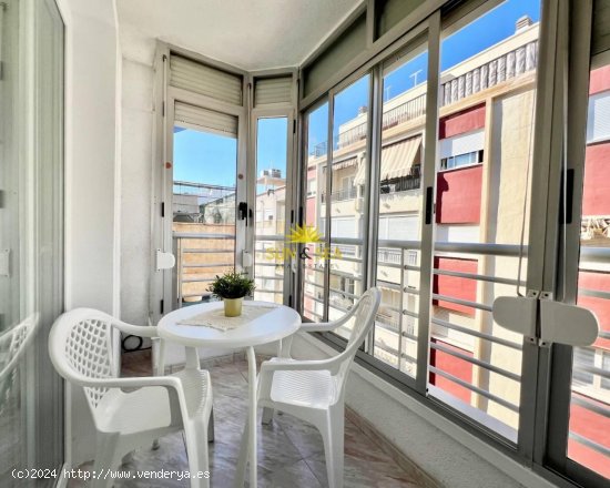 Apartamento en alquiler en Torrevieja (Alicante)