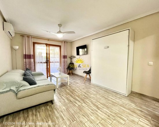 Estudio en alquiler en Torrevieja (Alicante)