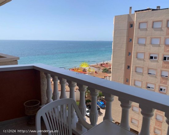 Apartamento en alquiler en La Manga del Mar Menor (Murcia)