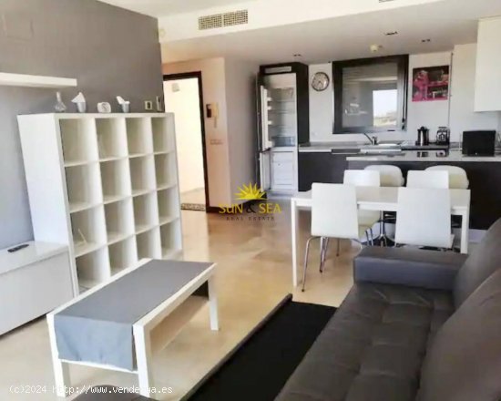 Apartamento en alquiler en Orihuela (Alicante)