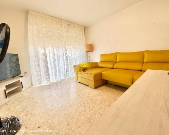 Apartamento en alquiler en Torrevieja (Alicante)