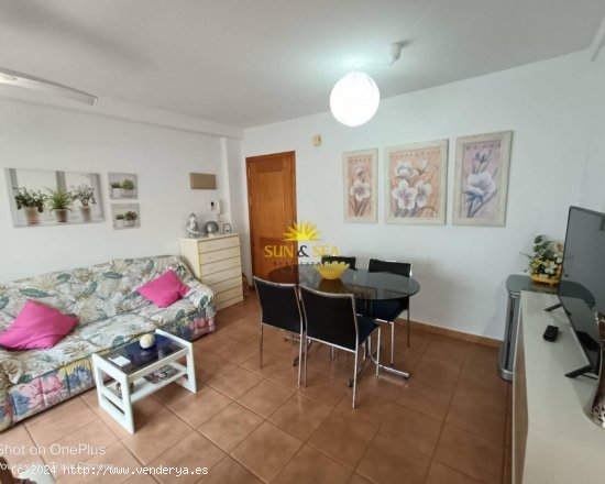 Apartamento en alquiler en Torrevieja (Alicante)