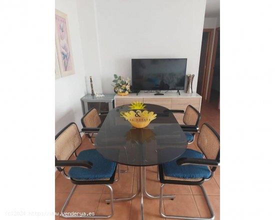 Apartamento en alquiler en Torrevieja (Alicante)