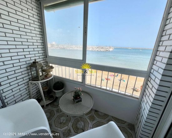 Apartamento en alquiler en Torrevieja (Alicante)