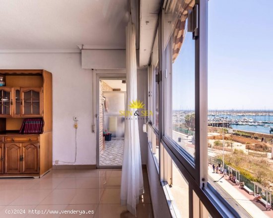 Apartamento en alquiler en Torrevieja (Alicante)