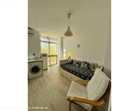 Apartamento en alquiler en Torrevieja (Alicante)