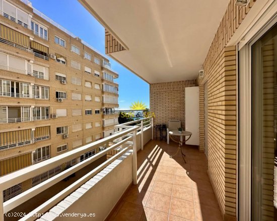 Apartamento en alquiler en Torrevieja (Alicante)