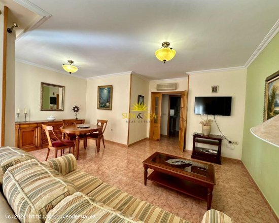 Apartamento en alquiler en Torrevieja (Alicante)