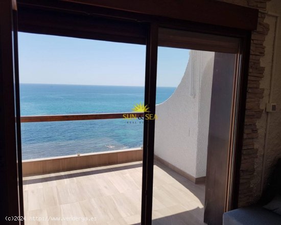 Apartamento en alquiler en Torrevieja (Alicante)