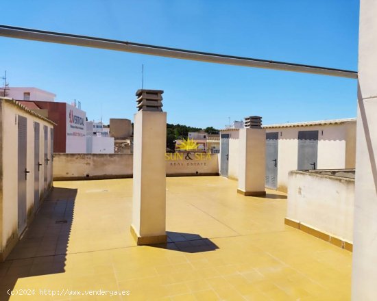 Apartamento en alquiler en Guardamar del Segura (Alicante)