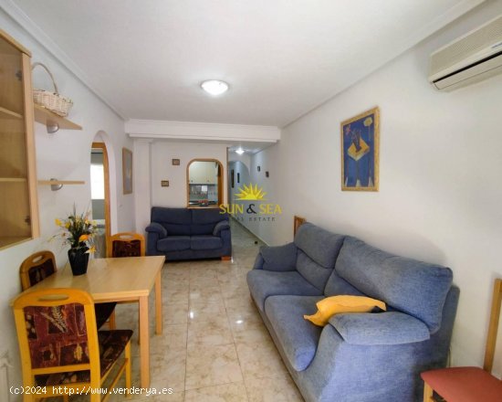 Apartamento en alquiler en Guardamar del Segura (Alicante)