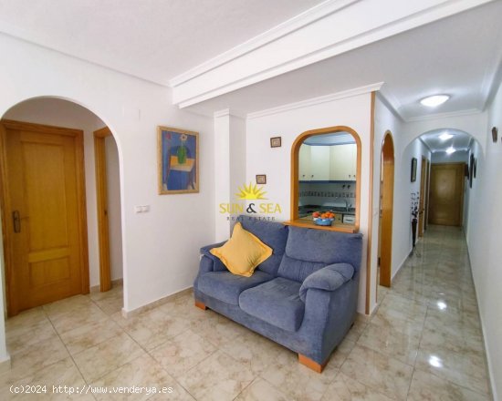 Apartamento en alquiler en Guardamar del Segura (Alicante)