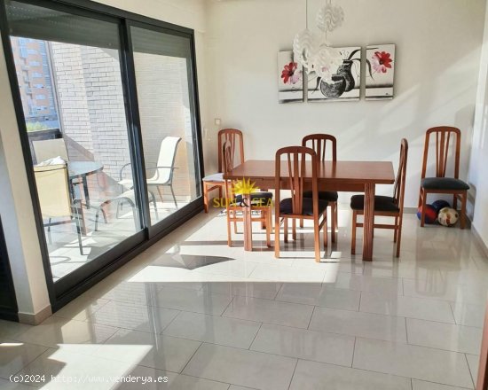 Apartamento en alquiler en Alicante (Alicante)