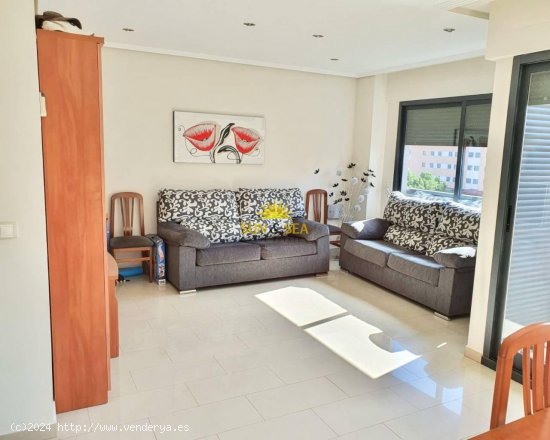 Apartamento en alquiler en Alicante (Alicante)