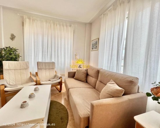 Apartamento en alquiler en Torrevieja (Alicante)