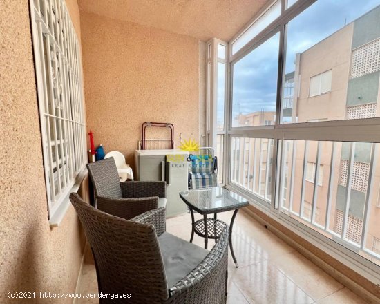 Apartamento en alquiler en Torrevieja (Alicante)