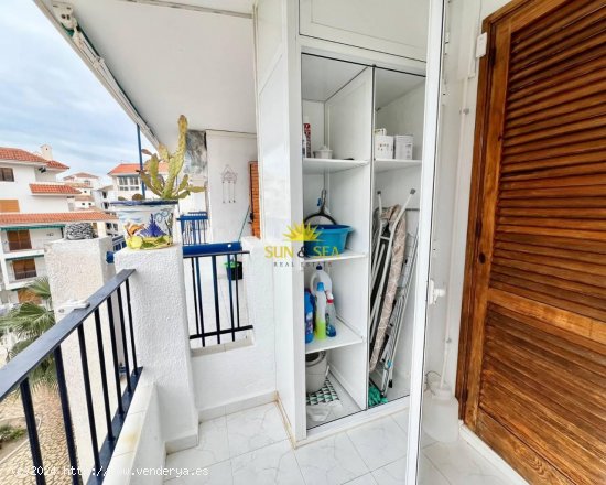 Apartamento en alquiler en Torrevieja (Alicante)