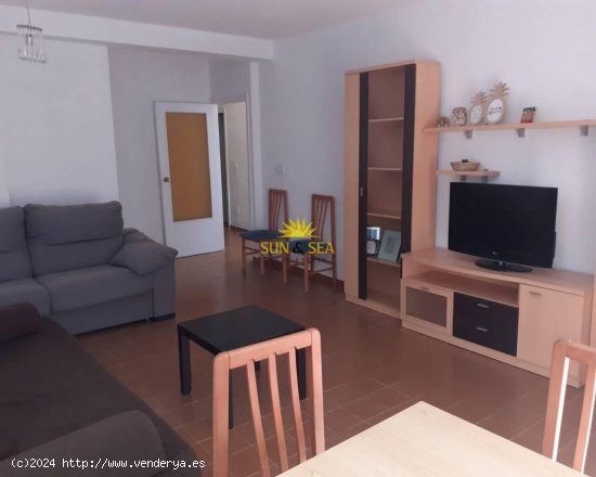 Apartamento en alquiler en Torrevieja (Alicante)