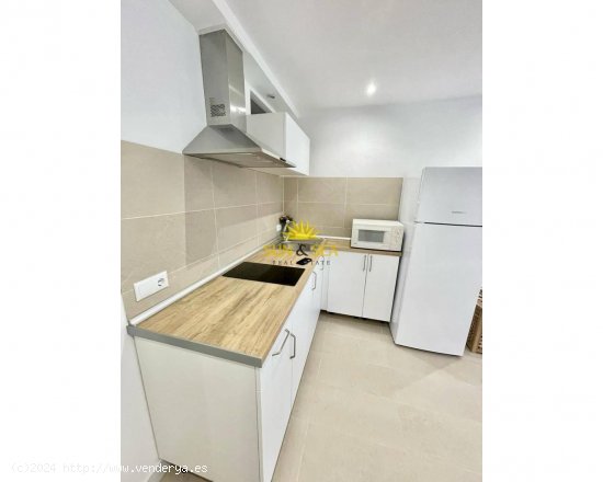 Apartamento en alquiler en Torrevieja (Alicante)