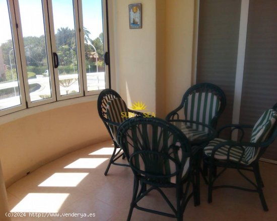 Apartamento en alquiler en Orihuela (Alicante)