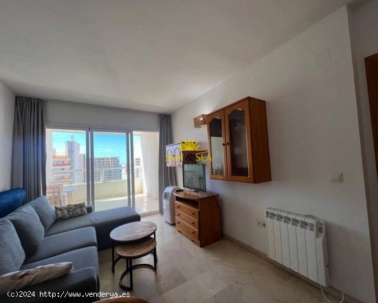 Apartamento en alquiler en Benidorm (Alicante)