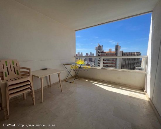 Apartamento en alquiler en Benidorm (Alicante)