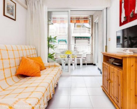 Apartamento en alquiler en Torrevieja (Alicante)