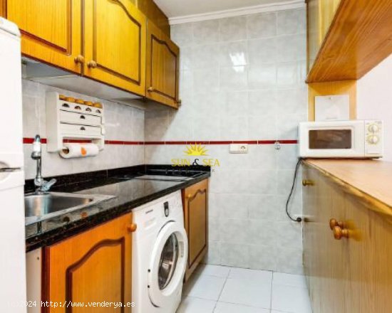 Apartamento en alquiler en Torrevieja (Alicante)