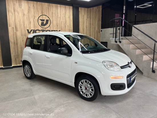 Fiat Panda 1.2 Easy 51kW (69CV) - Montaña los Vélez