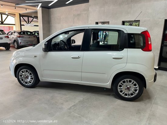 Fiat Panda 1.2 Easy 51kW (69CV) - Montaña los Vélez