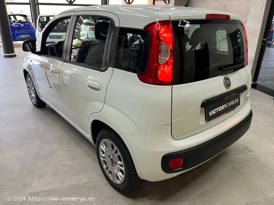 Fiat Panda 1.2 Easy 51kW (69CV) - Montaña los Vélez