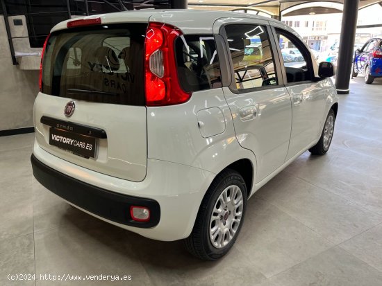 Fiat Panda 1.2 Easy 51kW (69CV) - Montaña los Vélez