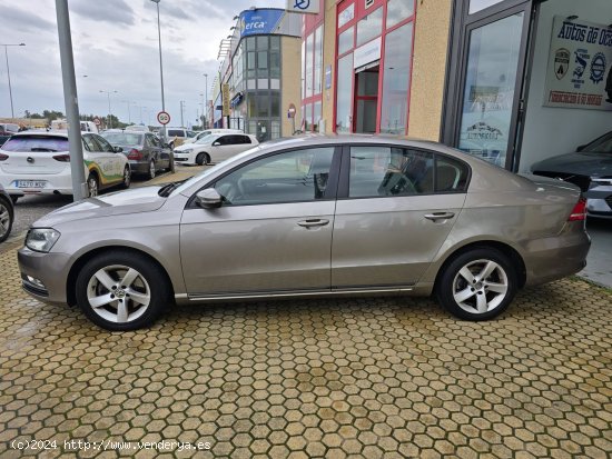 Volkswagen Passat Passat 1.6 TDI 105cv Edition BlueMotion Tech 4p. - ALACALA DE GUDAIRA