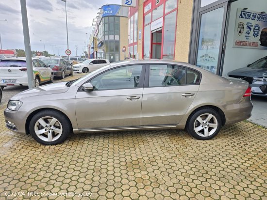 Volkswagen Passat Passat 1.6 TDI 105cv Edition BlueMotion Tech 4p. - ALACALA DE GUDAIRA