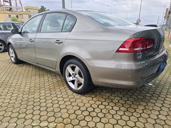 Volkswagen Passat Passat 1.6 TDI 105cv Edition BlueMotion Tech 4p. - ALACALA DE GUDAIRA