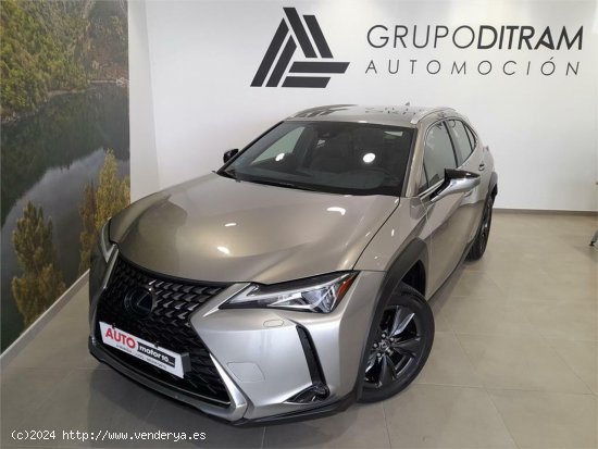 Lexus UX 2.0 250h Business - 