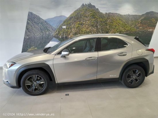 Lexus UX 2.0 250h Business - 