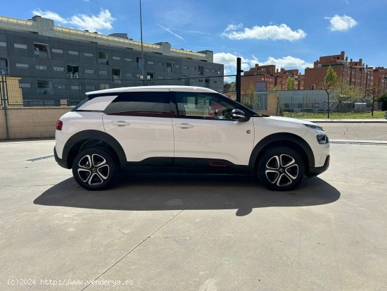 Citroën C4 Cactus BlueHDi 100 S&S Shine - Parla