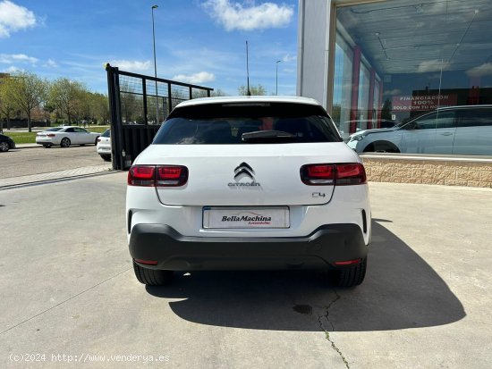 Citroën C4 Cactus BlueHDi 100 S&S Shine - Parla