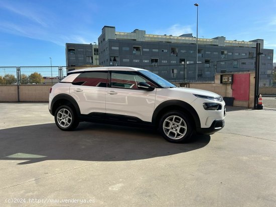 Citroën C4 Cactus BlueHDi 74KW (100CV) S&S Shine - Parla