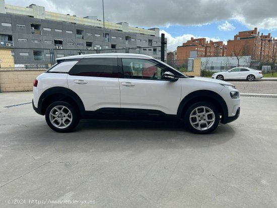 Citroën C4 Cactus BlueHDi 88KW (120CV) EAT6 Shine - Parla